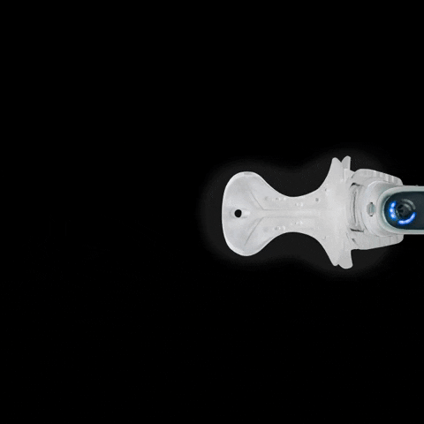 zyris GIF