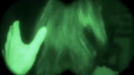 source.gif