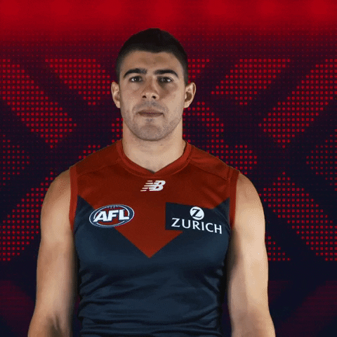 lets go time GIF by Melbournefc