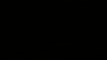 veronica  GIF