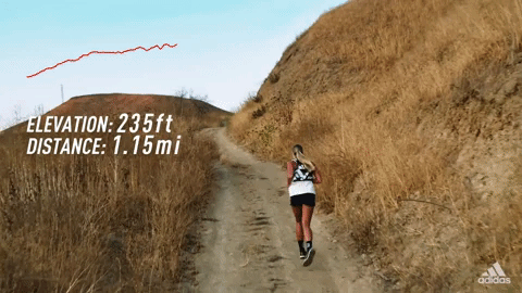 Run Running GIF by Sam Gendel - Find & Share on GIPHY
