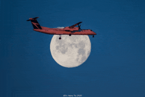 Moon Flying GIF