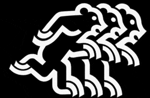 Bears Running GIF by Grand-Prix von Bern