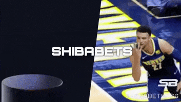 Shiba GIF by SHIBABETS.GG