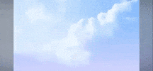 Florida GIF