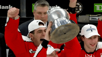 Northeastern Athletics GIF