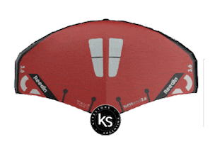 Wings Sticker by Escuela Argentina de Kitesurf