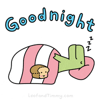 Sleepy Good Night GIF by Loof and Timmy