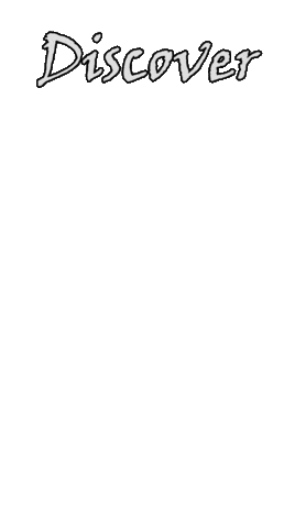 Von Payne Whiskey Sticker