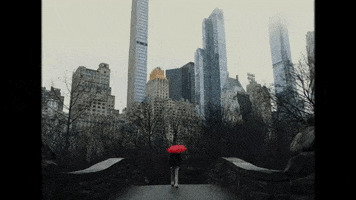 Rain City GIF by aldn