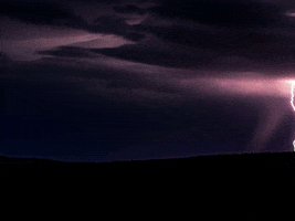 200.gif?cid=fc005b08ac06b1c1d73a480e45d4474decf79cfe1bdd5154&rid=200.gif&ct=g