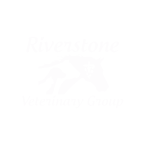 RiverstoneVetGroup Sticker