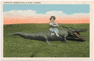 see you later alligator by GIF IT UP