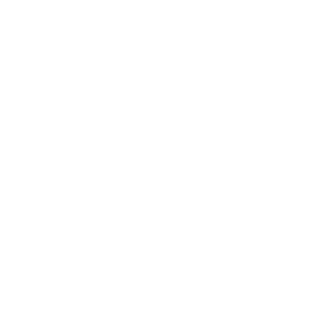 Festival Moments Sticker by momentsfestival