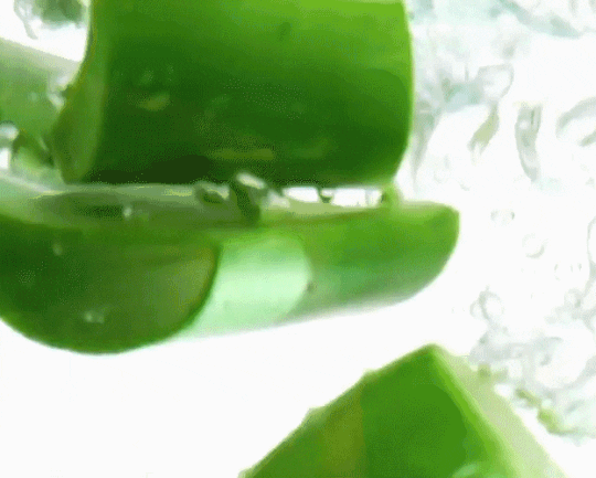 Skincare Ingredients GIF by Vasanti Cosmetics - Find & Share on GIPHY