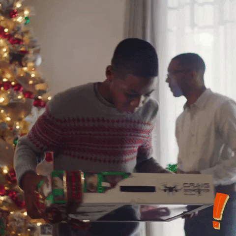 excited christmas GIF by Big Lots