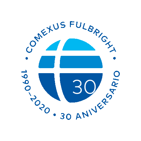 comexusfgr Sticker