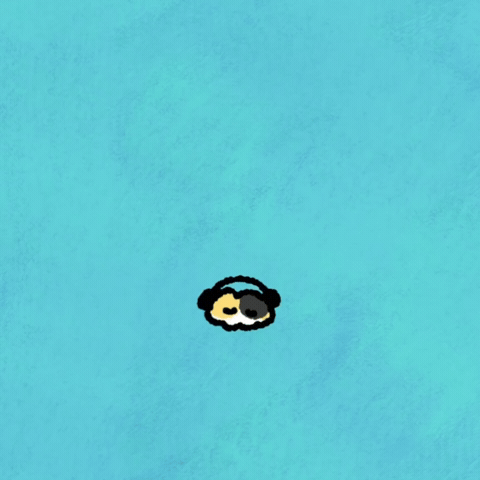 Dance Cat GIF