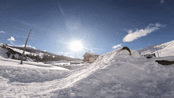 Zappa GIF by Snowboard Camp Livigno