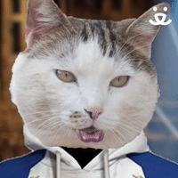 Cat Friends GIF - Find & Share on GIPHY