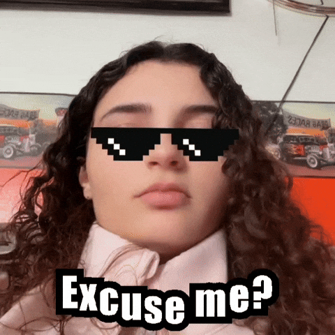 Excuse Me GIF