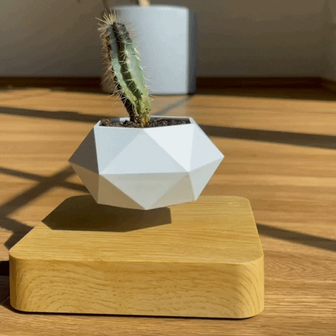 LevitatingPlant