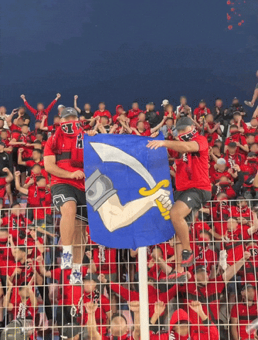 Fans Algeria GIF
