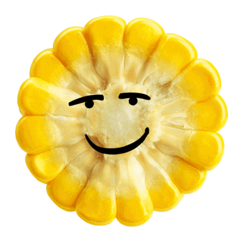 Vegan Sommer Sticker by maryloufood