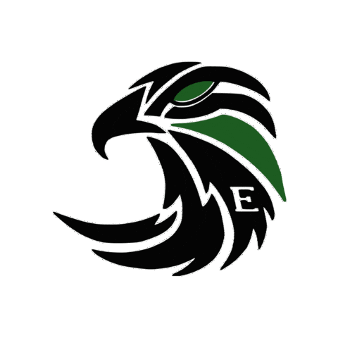 Falcons Sticker
