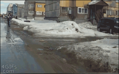 Snow Surprise GIF - Find & Share on GIPHY