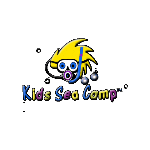 Kids Sticker by Roatan Divers