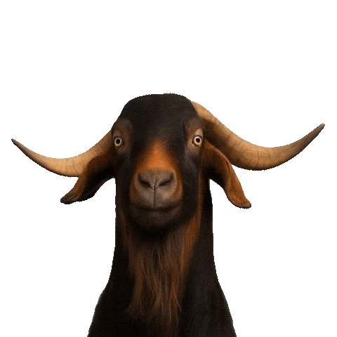 Pivo Nazdravi Sticker by Velkopopovický Kozel