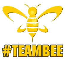 Bee Smart Sticker by Bee  Smart Removals