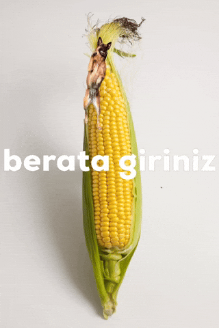 Berata Giriniz GIF