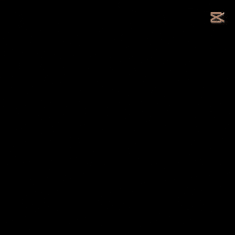 짝퉁폴로 GIF