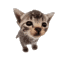 Dance Dancing Sticker