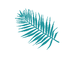 Summer Flower Sticker by Stadtmarketing Deggendorf