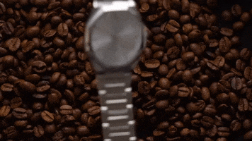 Coffee Beans GIF by Bens Watch Club