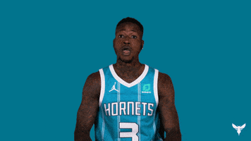 Terry Rozier No GIF by Charlotte Hornets