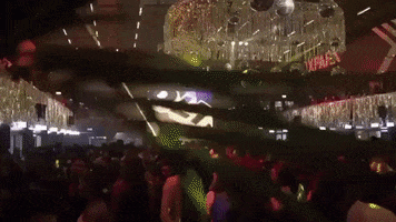 GIF by DLT Brunch