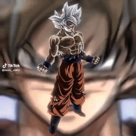 Goku Vegeta GIF