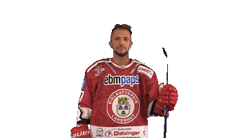 Ev Landshut Sticker by EVL Spielbetrieb GmbH