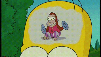 The Simpsons gif. An x-ray closeup of Homer's head, a Jolly Chimp monkey toy banging cymbals and doing flips where Homer's brain should be.