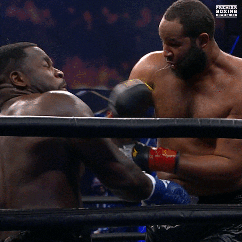 Punch Ko GIF by Premier Boxing Champions