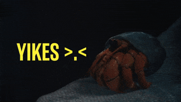 Sad Hide GIF by JoinZuzu