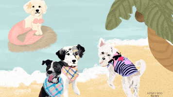 Beach Dogs GIF by Honey Boo Designs