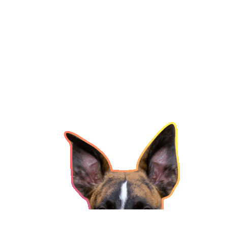 Success Just Clicks Sticker