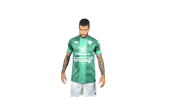 Sticker by C. F. Villanovense