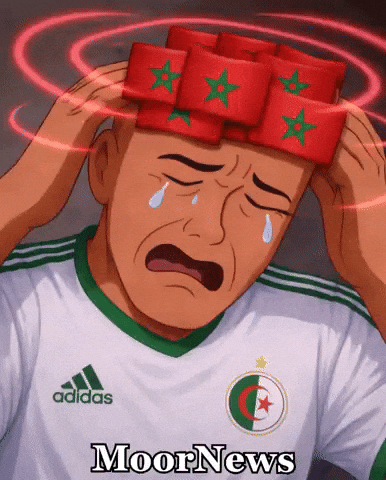 Morocco Algeria GIF