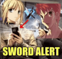 Saber Emiya Shirou GIF
